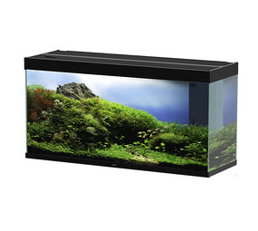 Ciano Aquarium emotions nature pro 120 schwarz