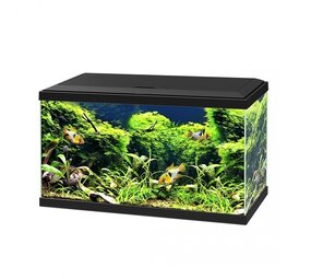 Ciano Aquarium aqua 60 LED CF80 schwarz Ciano Aquarium aqua 60 LED CF80 schwarz