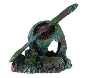 Aqua D'ella Flugzeugmotor Aqua D'ella Flugzeugmotor