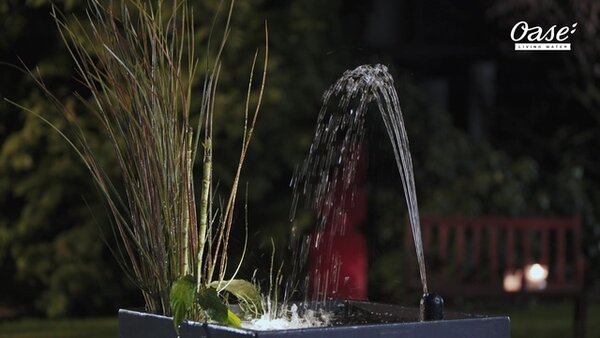 Oase Filtral UVC 3000 + Gratis Ersatzschaum Set