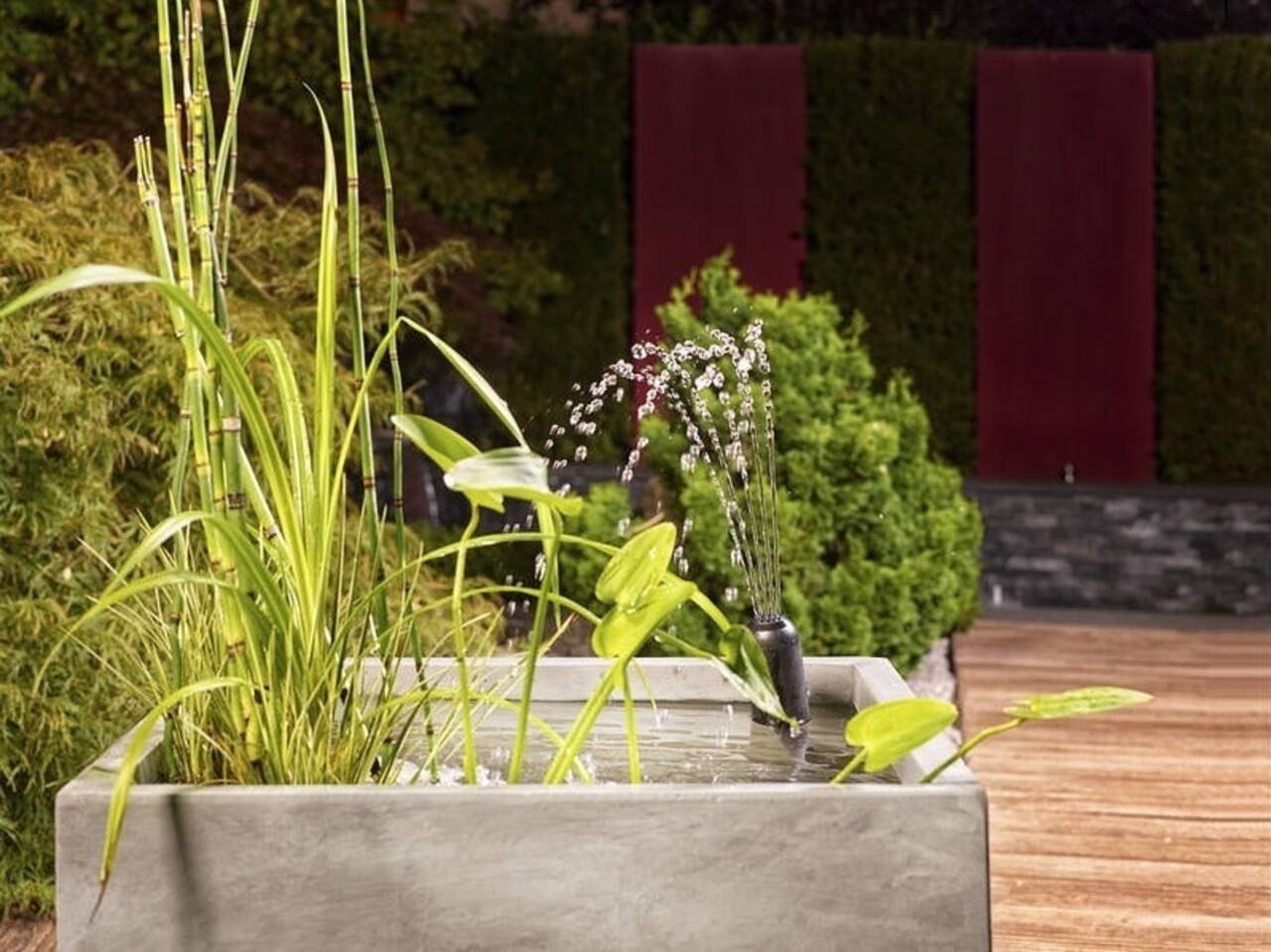 Oase Filtral UVC 3000 + Gratis Ersatzschaum Set