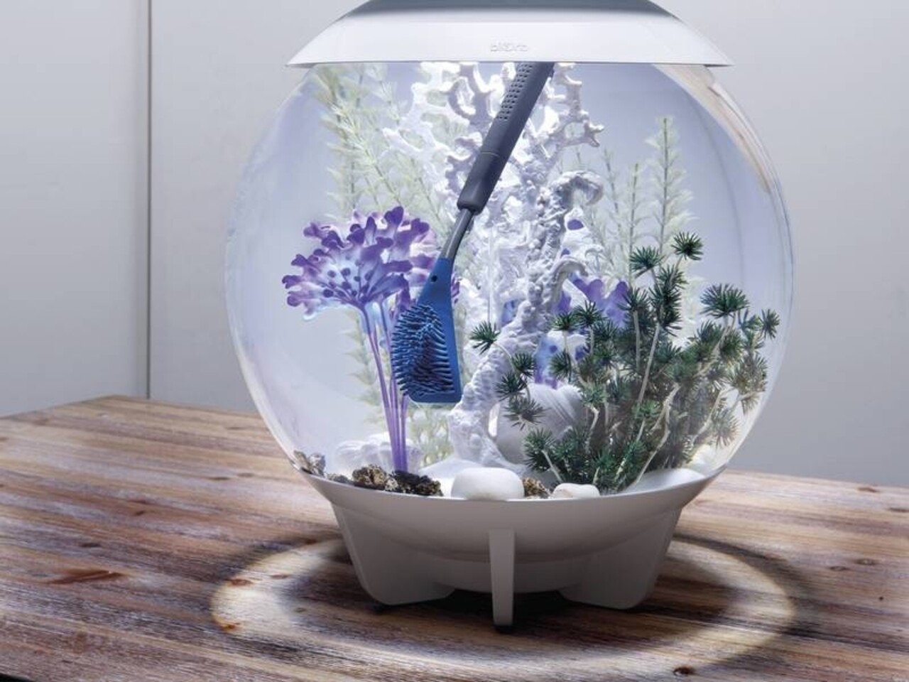 biOrb Vielseitige Reinigungsbürste blau