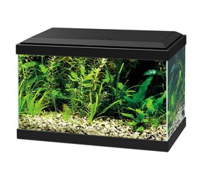 Ciano Aqua 20 LED Schwarz Ciano Aqua 20 LED Schwarz