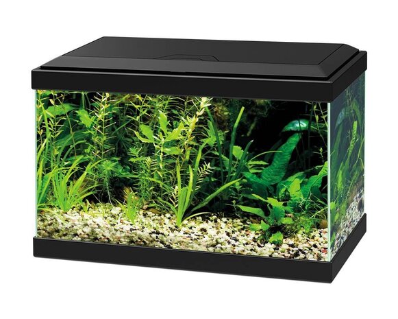 Ciano Aqua 20 LED Schwarz Ciano Aqua 20 LED Schwarz