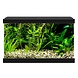 Ciano Aqua 20 LED Schwarz Ciano Aqua 20 LED Schwarz