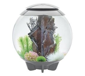 biOrb Halo 30 MCR Grau biOrb Halo 30 MCR Grau