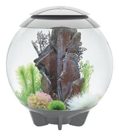 biOrb Halo 30 MCR Grau biOrb Halo 30 MCR Grau