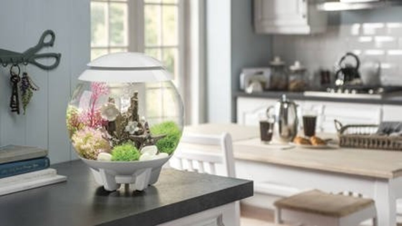 biOrb Halo 30 MCR Grau biOrb Halo 30 MCR Grau