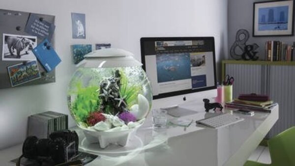 biOrb Halo 30 MCR Grau biOrb Halo 30 MCR Grau