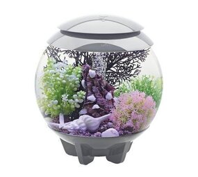 biOrb Halo 60 MCR Grau biOrb Halo 60 MCR Grau