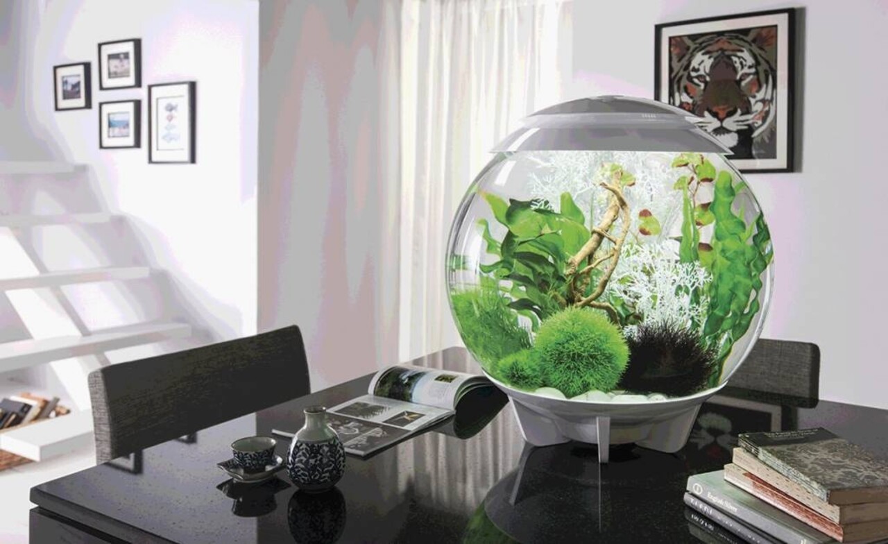 biOrb Halo 60 MCR Grau biOrb Halo 60 MCR Grau