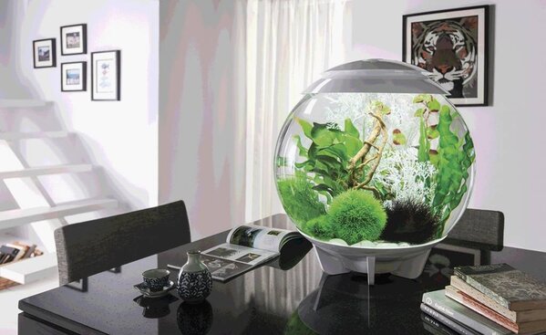 biOrb Halo 60 MCR Grau biOrb Halo 60 MCR Grau