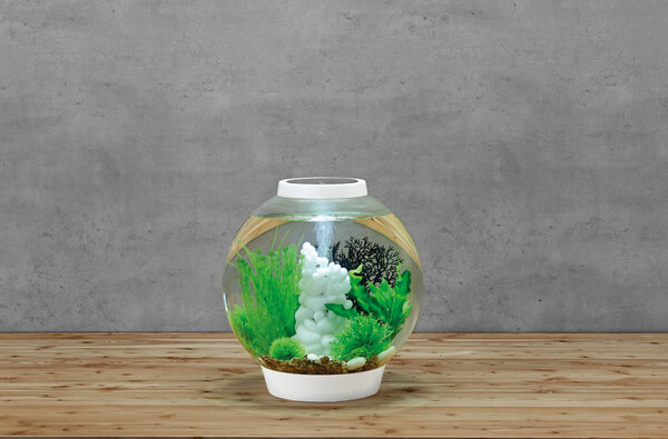 biOrb Classic 30 LED Weiß biOrb Classic 30 LED Weiß