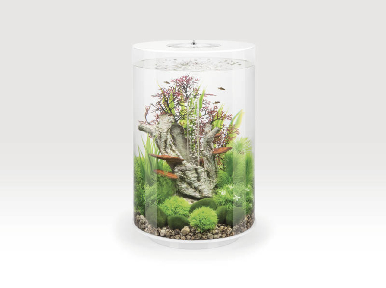 biOrb Tube 30 MCR Weiß