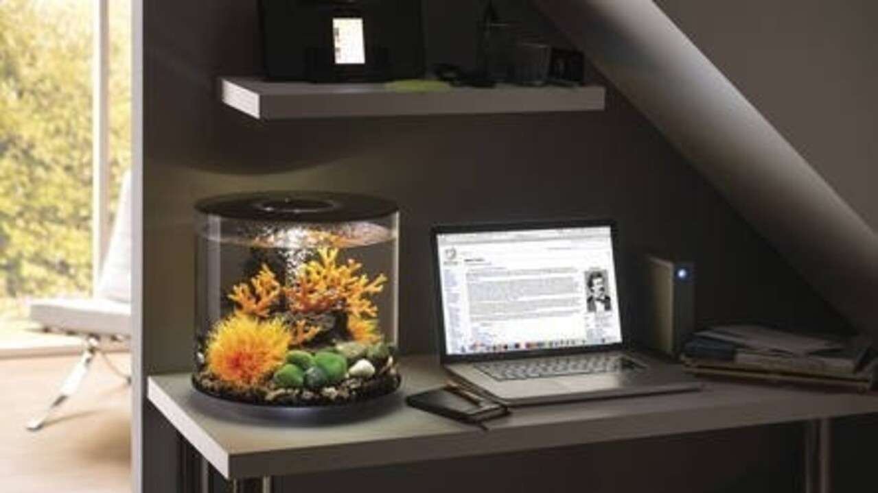 biOrb Tube 35 MCR Weiß