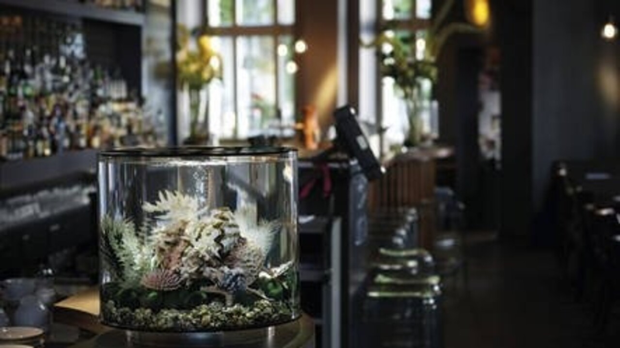 biOrb Tube 15 MCR Weiß biOrb Tube 15 MCR Weiß