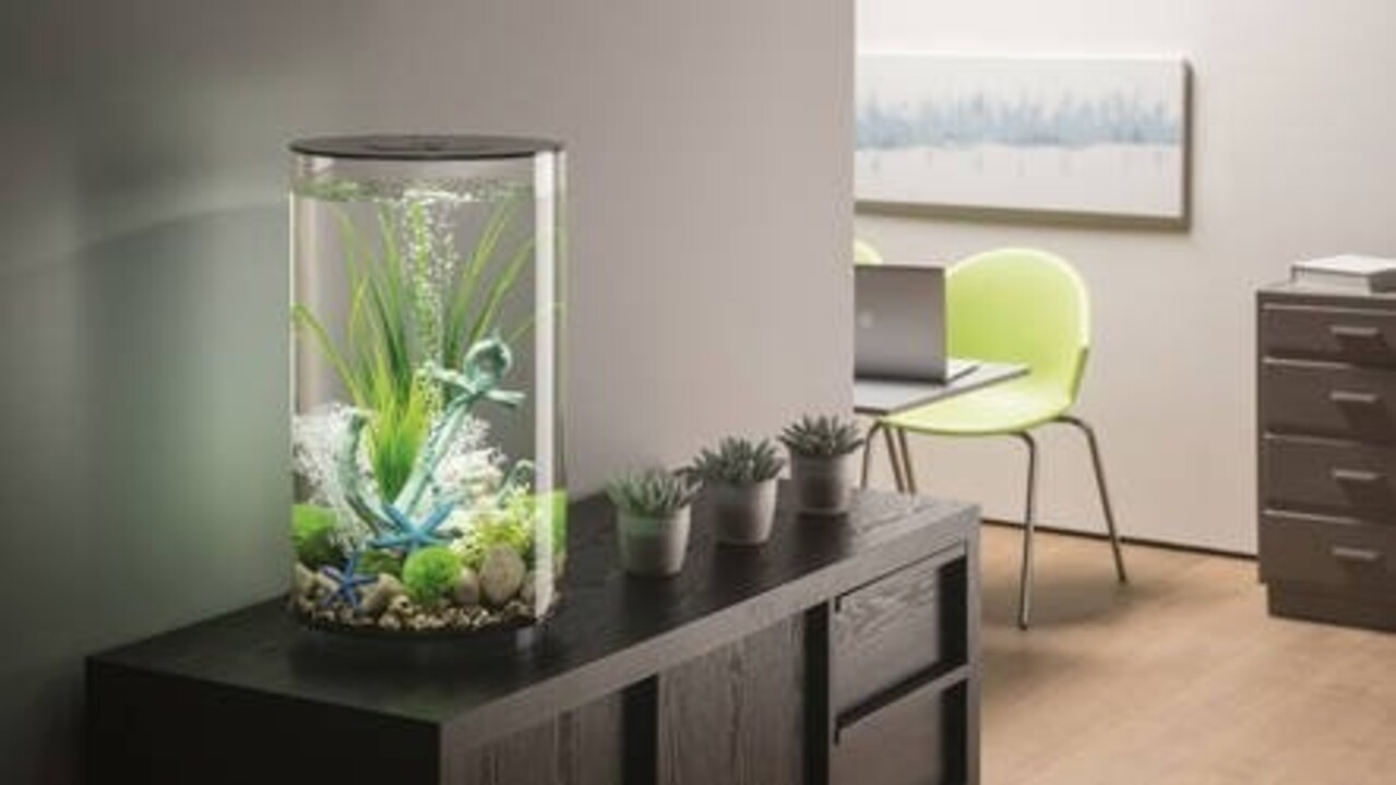 biOrb Tube 30 MCR Weiß