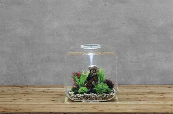 biOrb Life 30 MCR Clear biOrb Life 30 MCR Clear