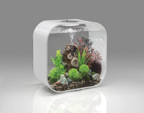 biOrb Life 30 MCR Weiß