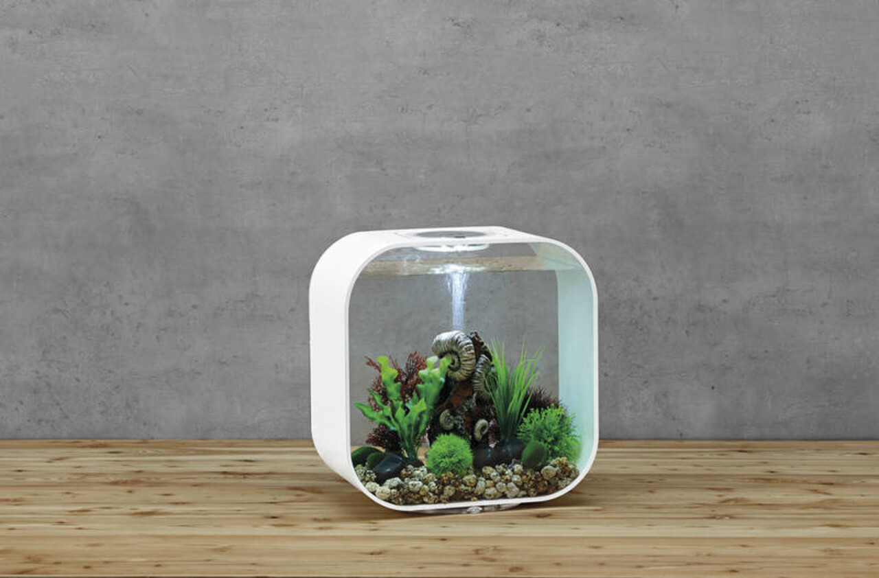 biOrb Life 30 MCR Weiß