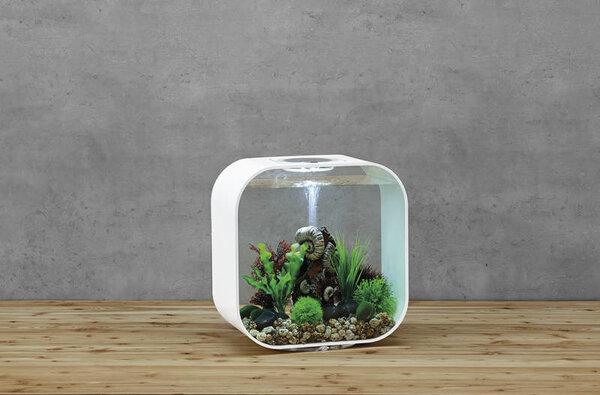 biOrb Life 30 MCR Weiß