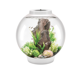 biOrb Classic 105 MCR Silber