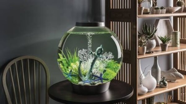 biOrb Classic 30 MCR Silber