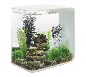 biOrb Flow 30 LED Weiß