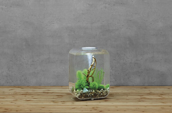 biOrb Life 15 LED Clear