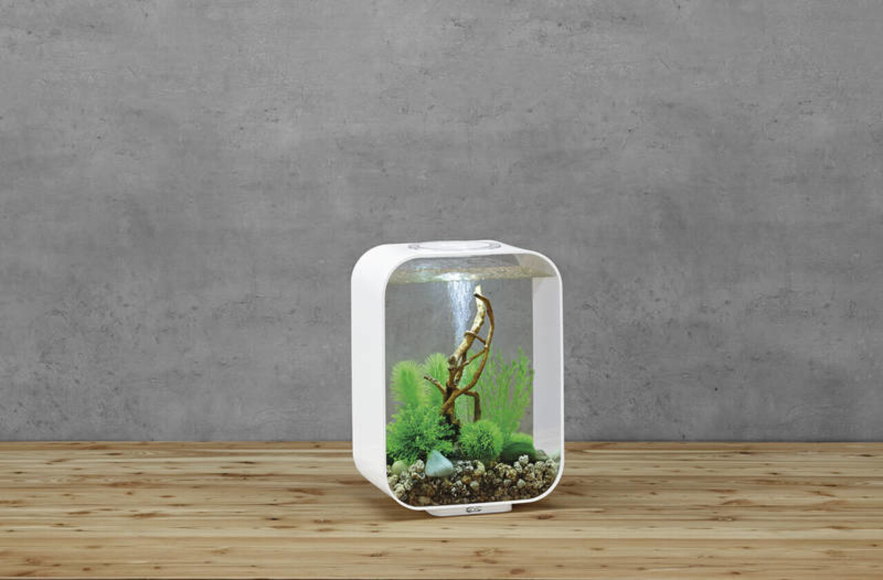 biOrb Life 15 LED Weiß biOrb Life 15 LED Weiß