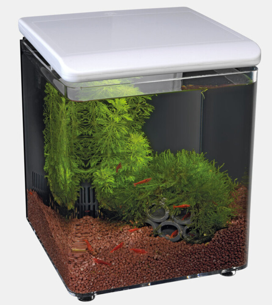 Superfish Startseite 8 Weiß