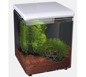 Superfish Startseite 8 Weiß