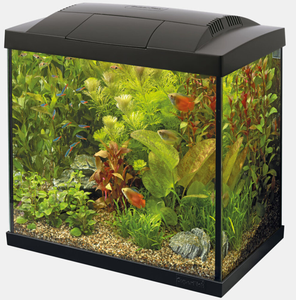 Superfish Start 50 Tropical Kit Schwarz