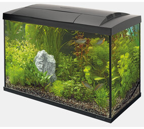 Superfish Start 70 Tropical Kit Schwarz