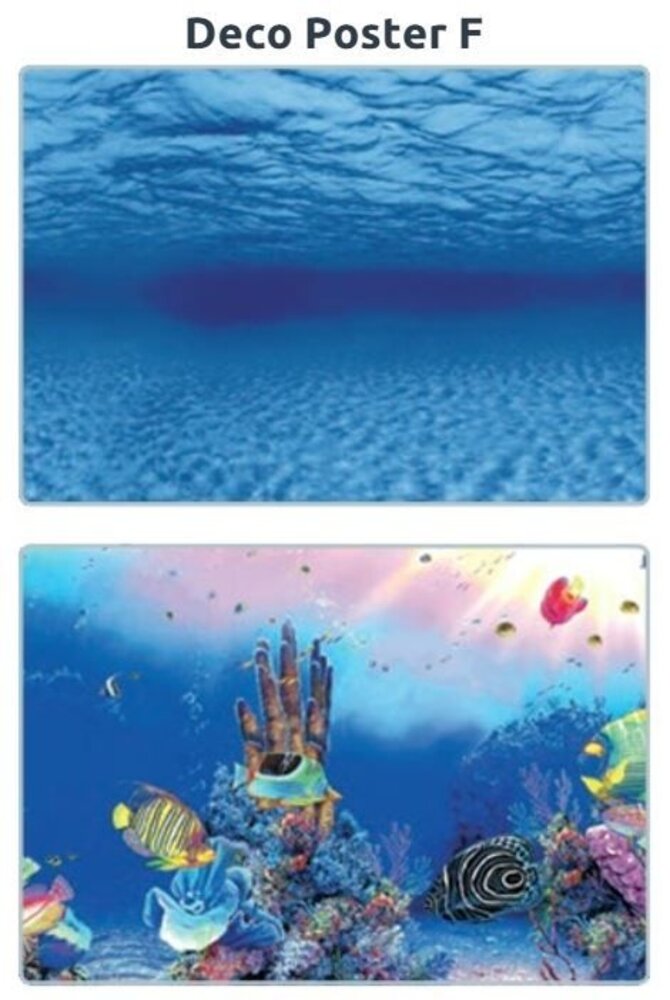 Superfish Deco Poster F Superfish Deco Poster F