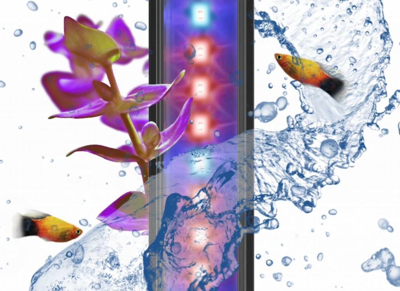 Ciano Led cla60 plants aqua 60 & 80 8W