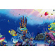 Superfish Deco Poster F Superfish Deco Poster F