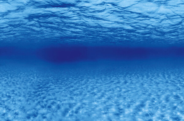 Superfish Deco Poster F Superfish Deco Poster F