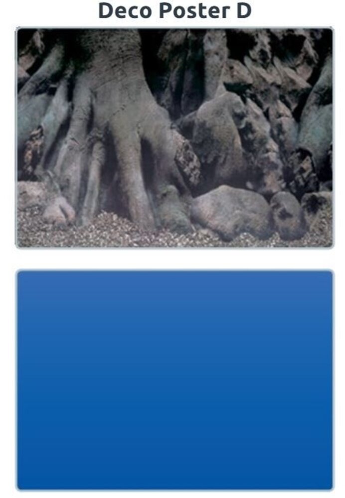 Superfish Deco Poster D Superfish Deco Poster D