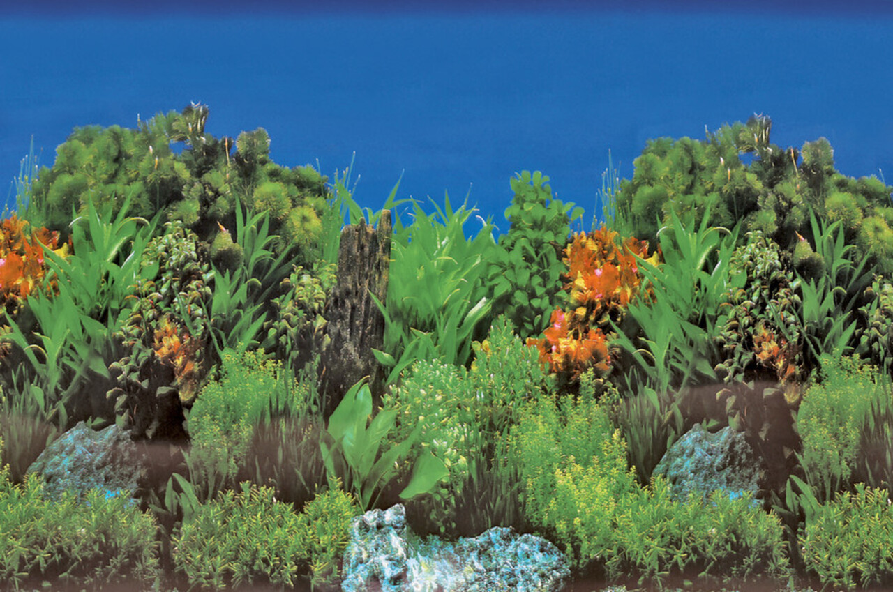 Superfish Deco Poster B Superfish Deco Poster B