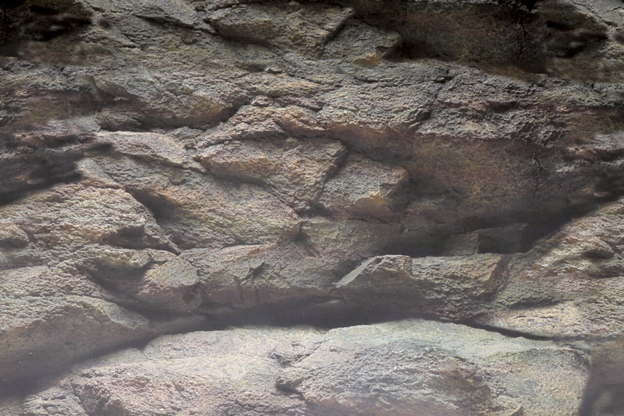 Superfish Deco Poster B Superfish Deco Poster B