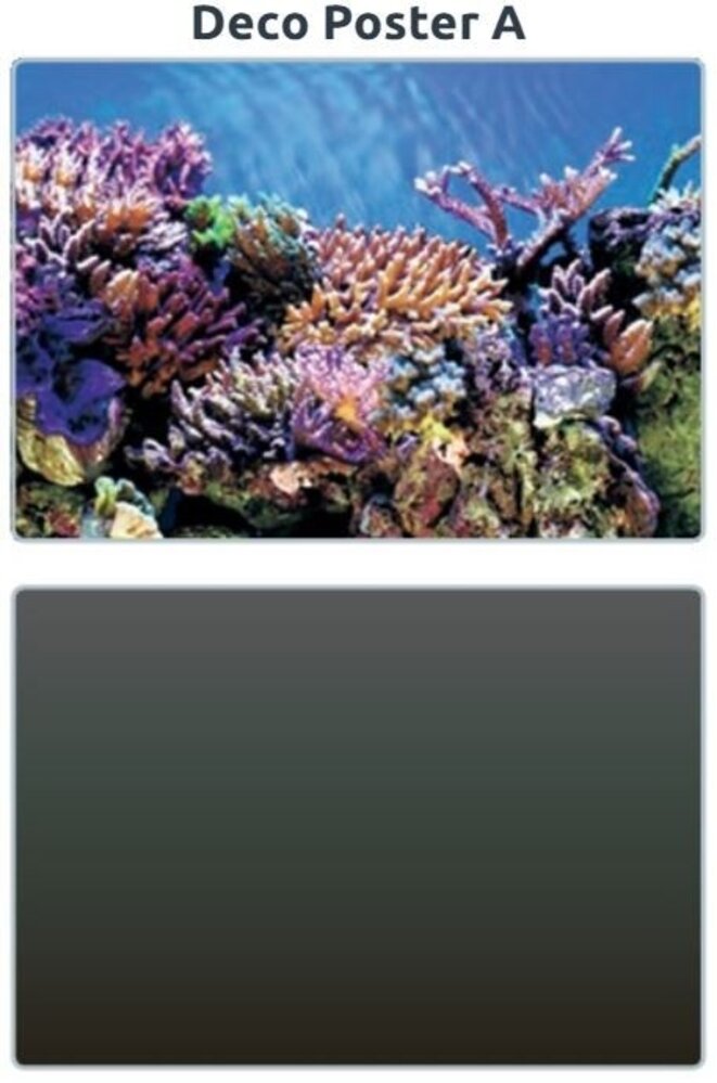 Superfish Deco Poster A Superfish Deco Poster A