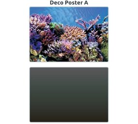 Superfish Deco Poster A
