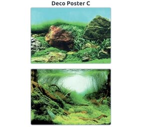 Superfish Deco Poster C Superfish Deco Poster C