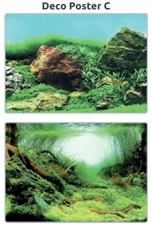 Superfish Deco Poster C Superfish Deco Poster C