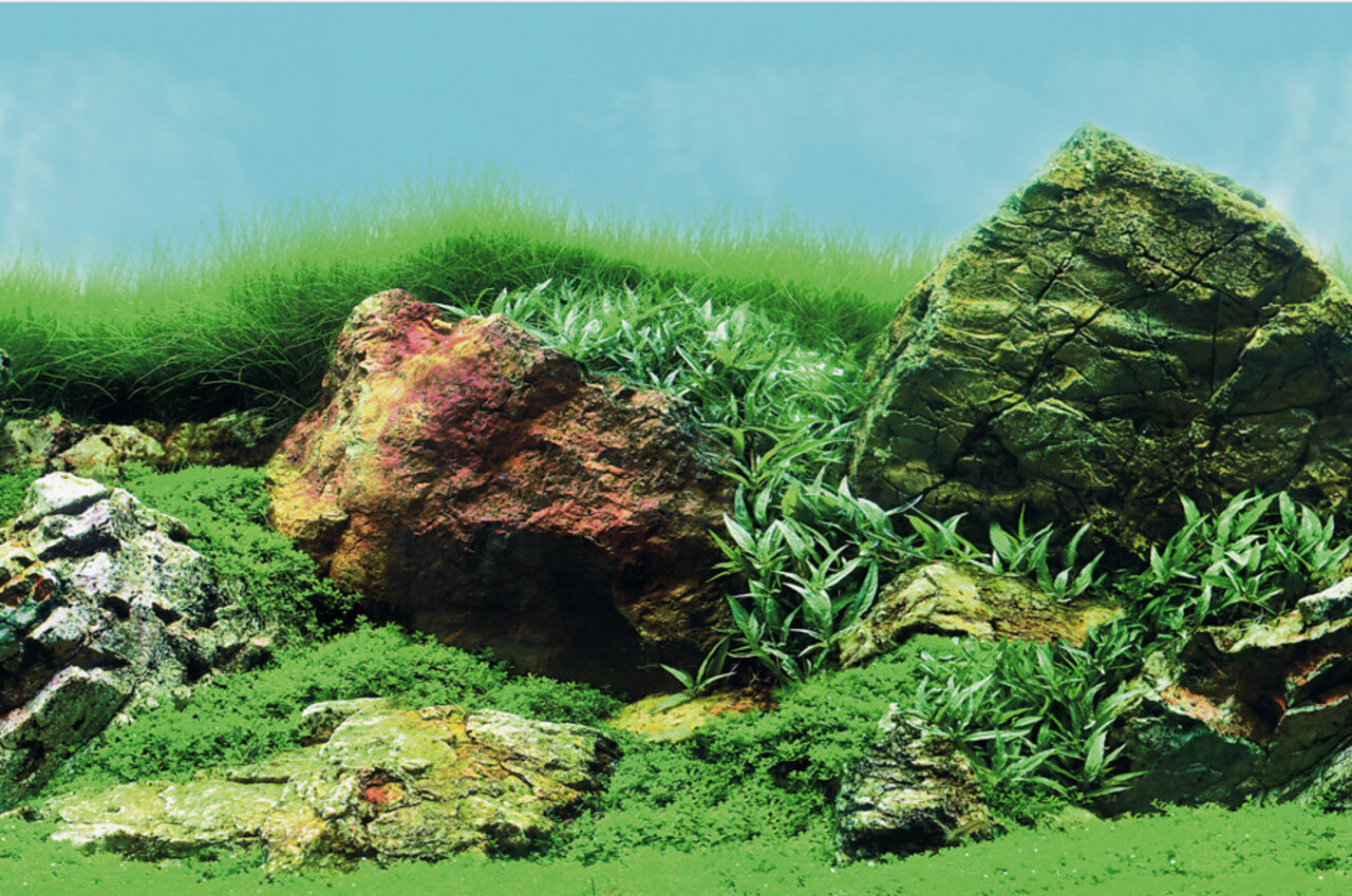 Superfish Deco Poster C Superfish Deco Poster C