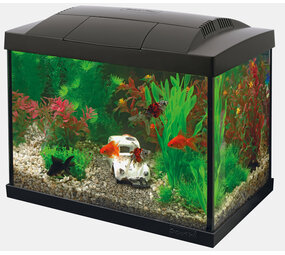 Superfish Start 20 Kit Schwarz Superfish Start 20 Kit Schwarz