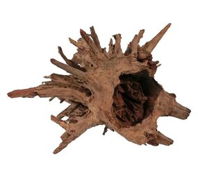 HS Aqua Corbo-Root L 40-60cm