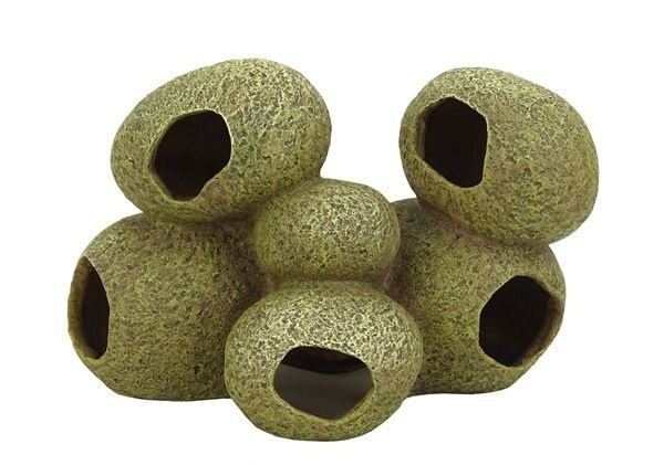 Blue Belle Pacific Stone Cave 5