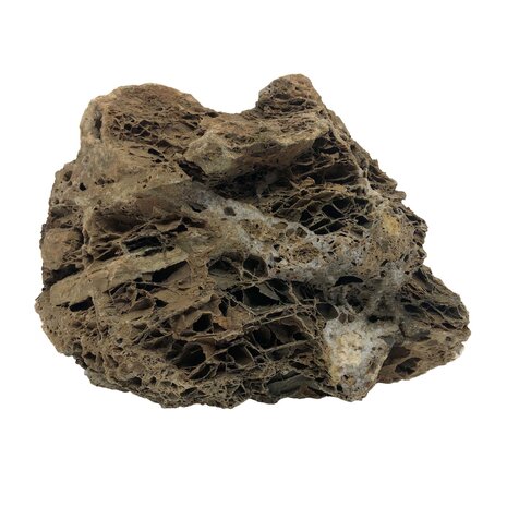 HS Aqua Maple Leaf Rock S 1,0-1,5KG HS Aqua Maple Leaf Rock S 1,0-1,5KG